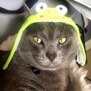 Meet your Posher, Andy